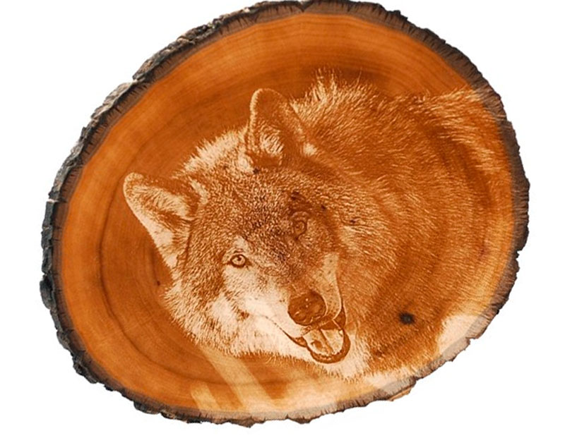 Лазерная гравировка картины волка на дереве