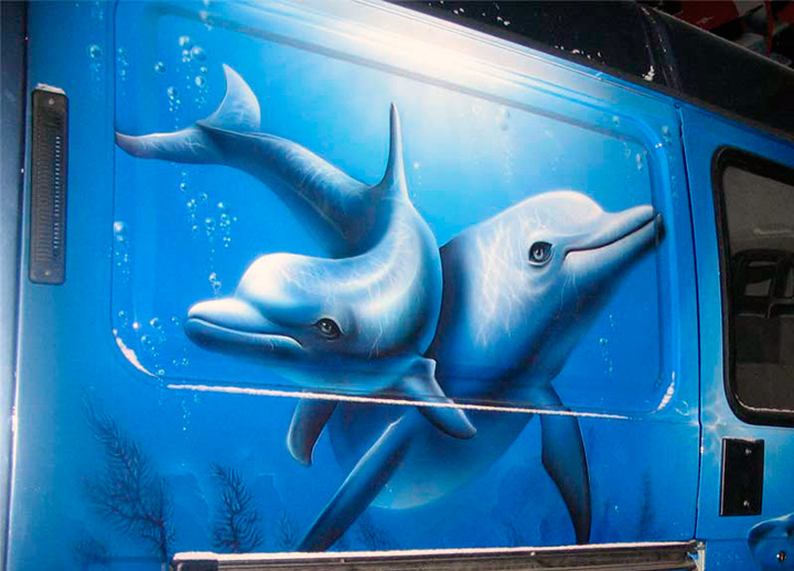Дельфина на микроавтобусе